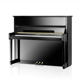 Image for Schimmel K 125