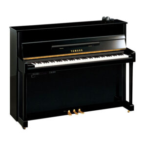 Image for Yamaha B3 SC3