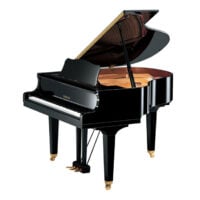 Yamaha DGB1K