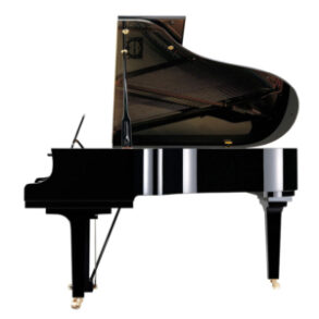 Image for Yamaha CF6