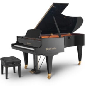 Image for Bösendorfer 225