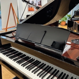 Image forYamaha N3X AvantGrand Hybrid