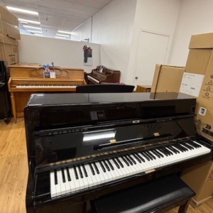 Image forYoung Chang U107 Upright