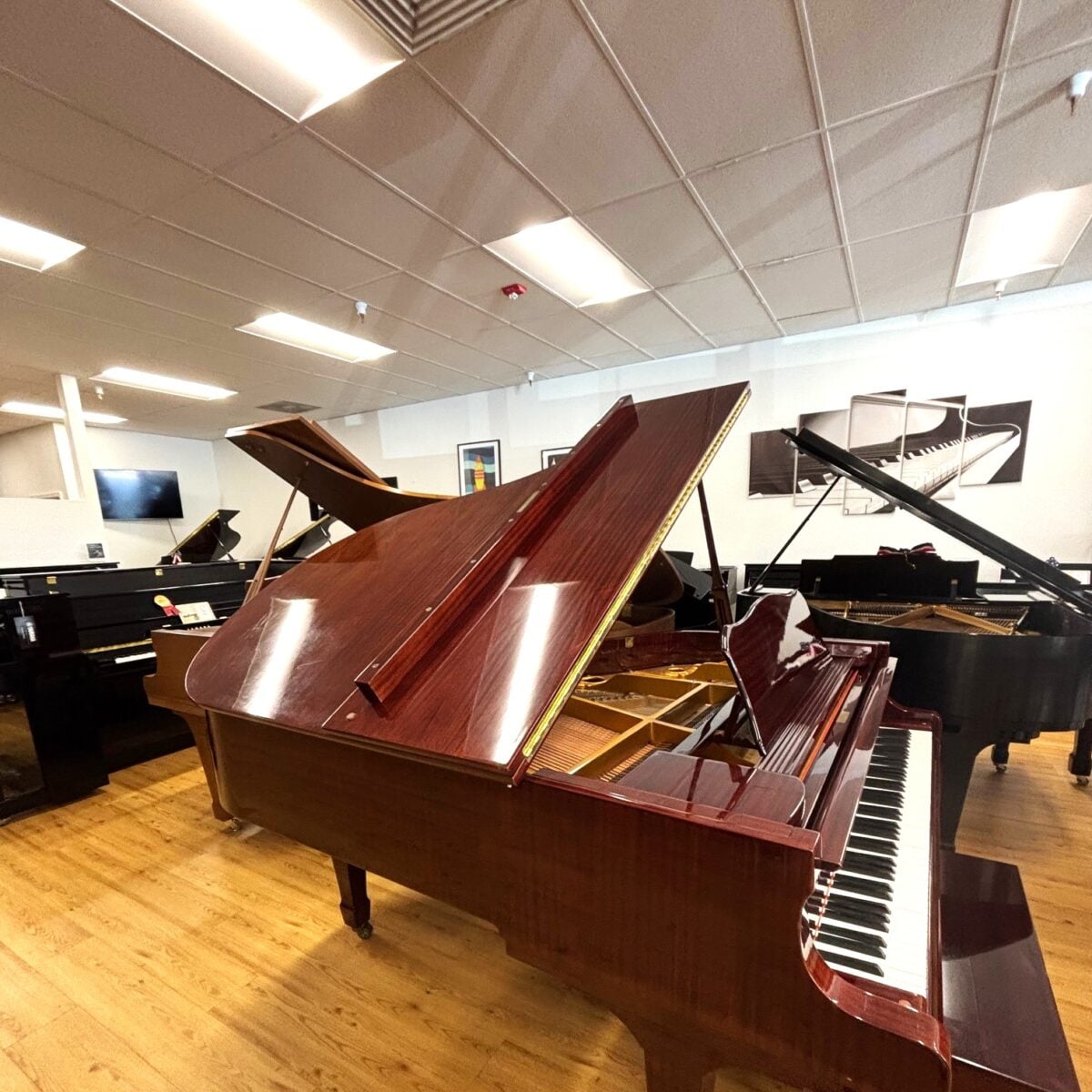 Young Chang Grand G-185