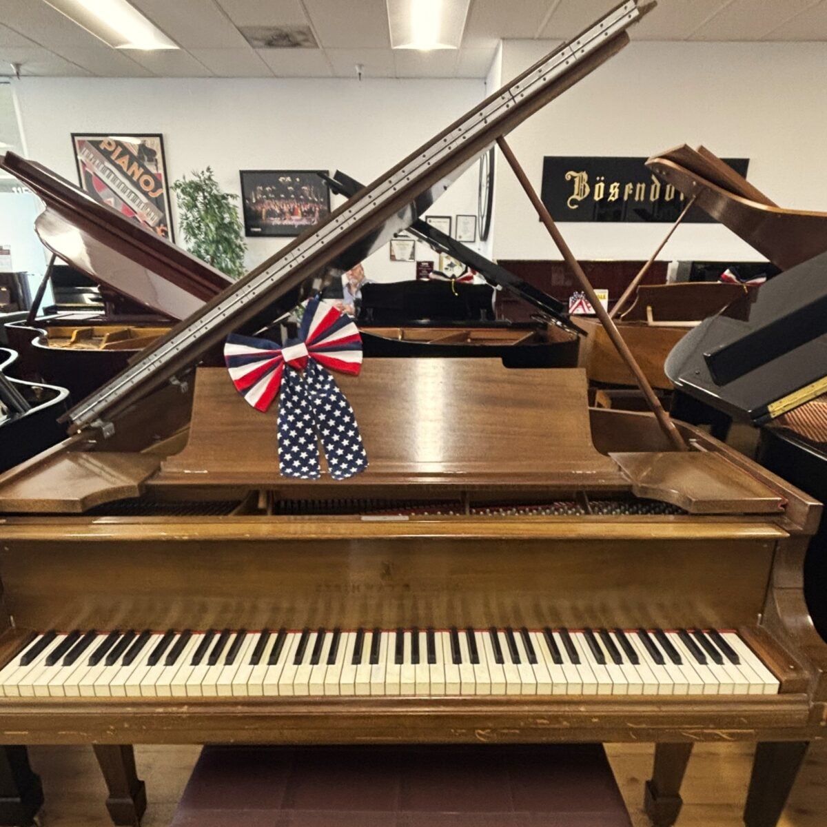 Steinway & Sons Model M Grand