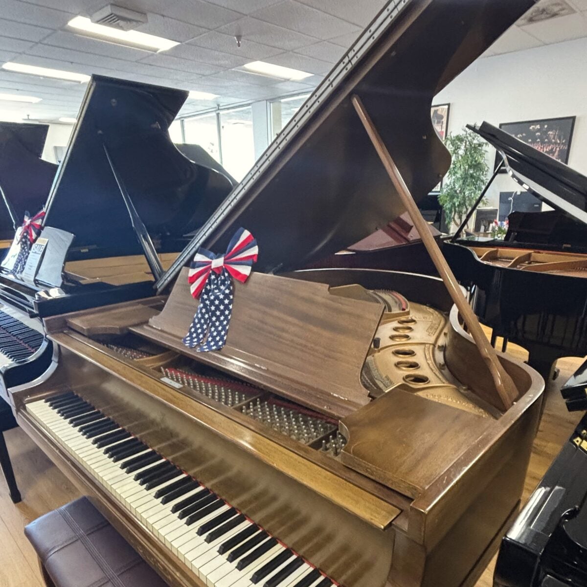 Steinway & Sons Model M Grand