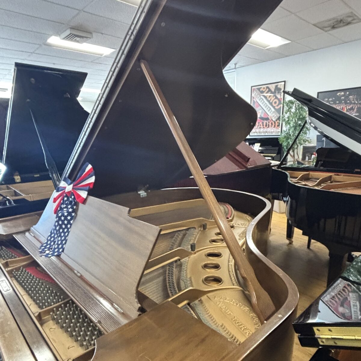 Steinway & Sons Model M Grand
