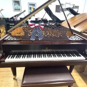Image forStory & Clark Player Grand