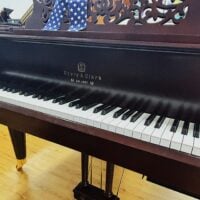 Story & Clark Player Grand