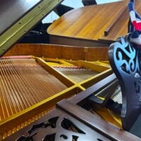 Story & Clark Player Grand