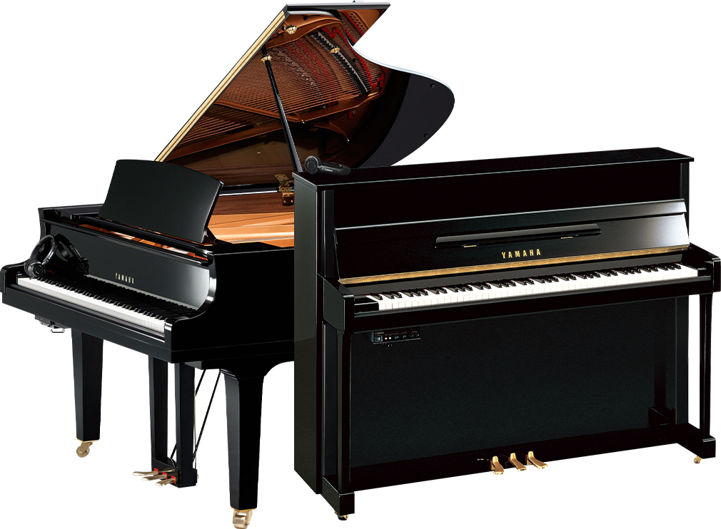 Yamaha grand and upright pianos, glossy black finish, displayed in a showroom setting.